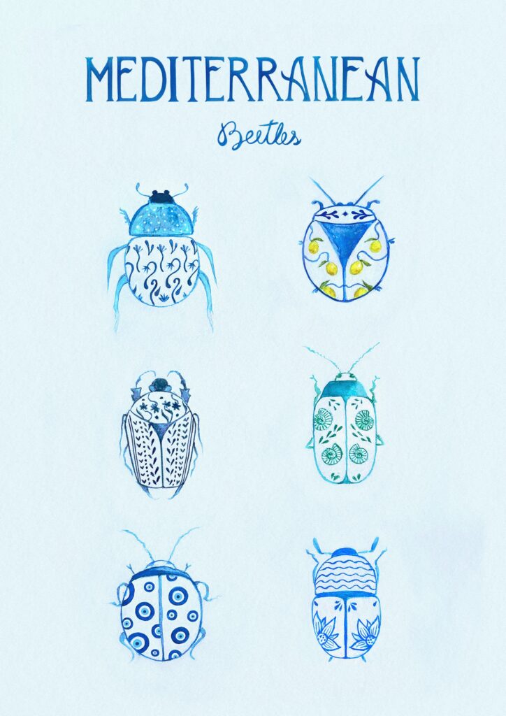 mediterranean_beetles